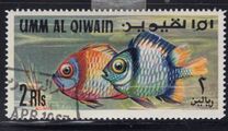 [Fish of the Arabian Gulf, Tipi GC]