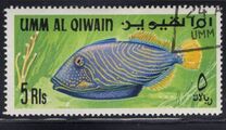 [Fish of the Arabian Gulf, Tipi GE]