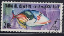 [Fish of the Arabian Gulf, Tipi GD]