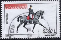 [Horse Riding, տեսակ HZE]