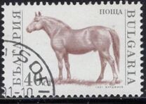 [Domestic Animals, type ELZ]