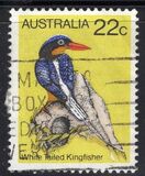 [Birds, tip TW]