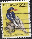 [Birds, tip TW]