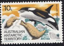 [Marine Life and Aircraft in the Service of Antarctic Research, tip AB]