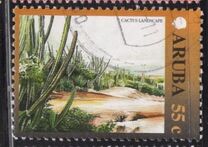 [Aspects of Aruba, type IW]