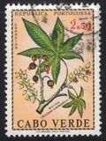 ["Produce of Cape Verde Islands", 类型 DG]