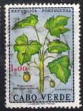 ["Produce of Cape Verde Islands", 类型 DE]