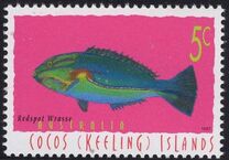 [Fish, type MS]