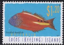 [Fish, type MW]