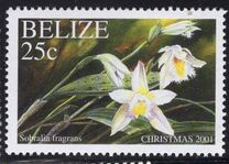 [Christmas - Orchids, τύπος ACF]