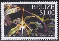 [Christmas - Orchids, type ACI]