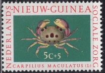 [Social Care - Crabs, Typ AG]
