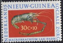 [Social Care - Crabs, Typ AJ]
