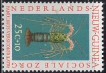 [Social Care - Crabs, Typ AI]