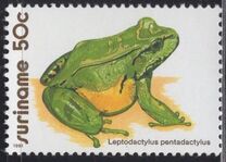 [Frogs, type APA]