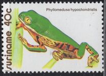 [Frogs, type AOZ]