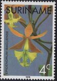 [Surinam Orchids, Tipi AGF]