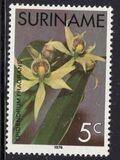 [Surinam Orchids, Tipi AGG]