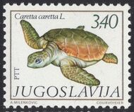 [Mediterranean Marine Life, тып BTN]