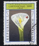[International Gardening Exhibition, Scrivi BTL]