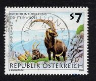 [Hunting and the Environment, Scrivi BTK]