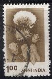 [Agriculture, type XR]