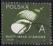 [Stamps for Domestic Mail: Shells of Snails, Tip DDE]