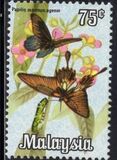 [Butterflies, प्रकार AV]