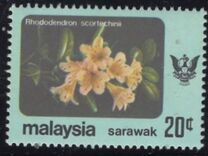 [Flowers, type CJ1]