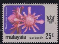 [Flowers, type CK]