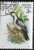 [Protected Birds, type ETQ]
