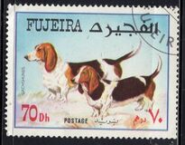 [Dogs, τύπος VM]