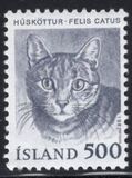 [Domestic Animals, type MT]