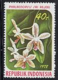 [Orchids, Tipe AIN]