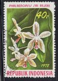 [Orchids, Tipe AIN]