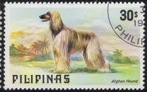 [Dogs and Cats, type AOT]