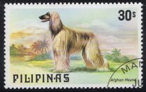 [Dogs and Cats, type AOT]