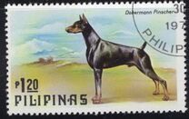 [Dogs and Cats, τύπος AOV]