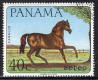 [Domestic Animals, type TS]