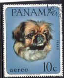 [Domestic Animals, type TP]