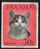 [Domestic Animals, type TR]