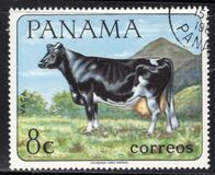 [Domestic Animals, type TO]