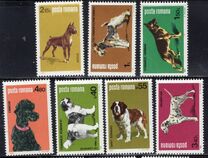 [Dog Show "Canina", type FFR]