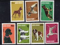 [Dog Show "Canina", type FFR]
