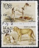 [Dog Show "Canina", type FFX]