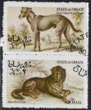 [Dog Show "Canina", type FFX]