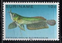 [Tropical Fish, Tüüp ANN]