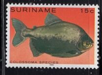 [Tropical Fish, Tüüp ANO]
