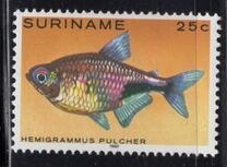 [Tropical Fish, Tüüp ANP]