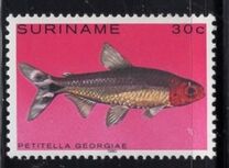 [Tropical Fish, type ANQ]